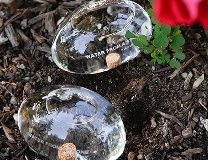Kikkerland Water from a Stone Hand Blown Glass Automatic Self-Watering Plant Globes, Set of 2