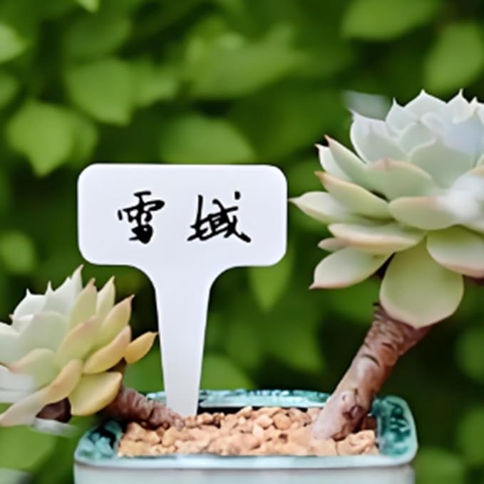 60 PCS 11 Inch Large Plant Labels, Waterproof Plastic Plant Tags, Lengthen T-Type Tags Nursery Garden Labels for Gardens, Greenhouses, Yards