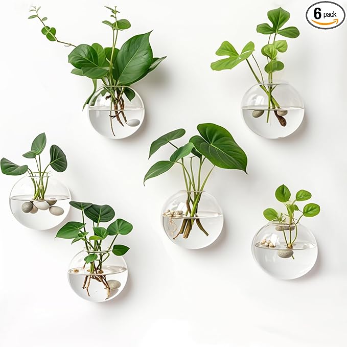 6 Pack Hanging Wall Vases, Glass Hainging Planter Propagation Station Terrarium, 4.7" Globe Wall Planters for Indoor Plants,Home Decor