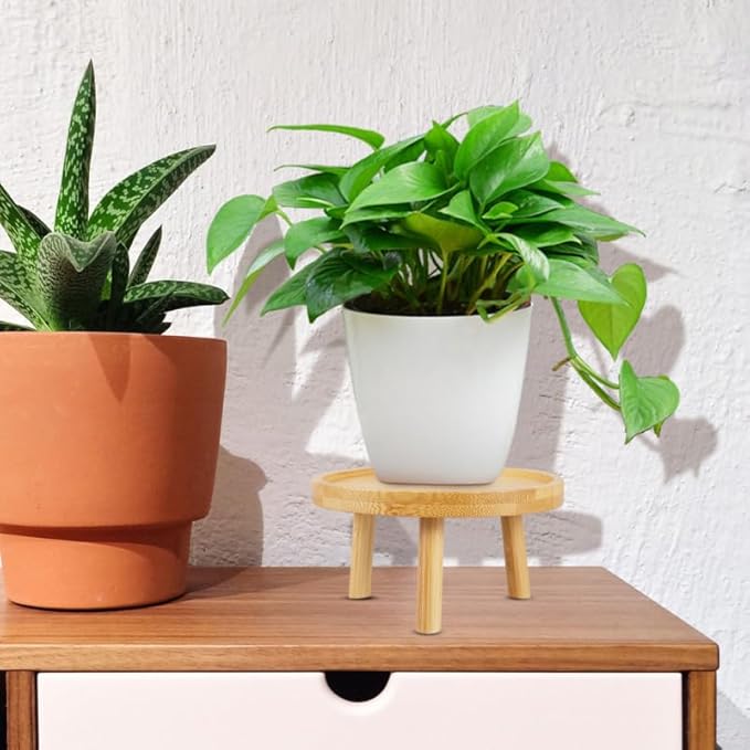 DOITOOL 5 Inch Wooden Indoor Plant Stand Succulent Pot Holder Decorative Flowerpot Raiser Tray for Living Room Patio Garden Display