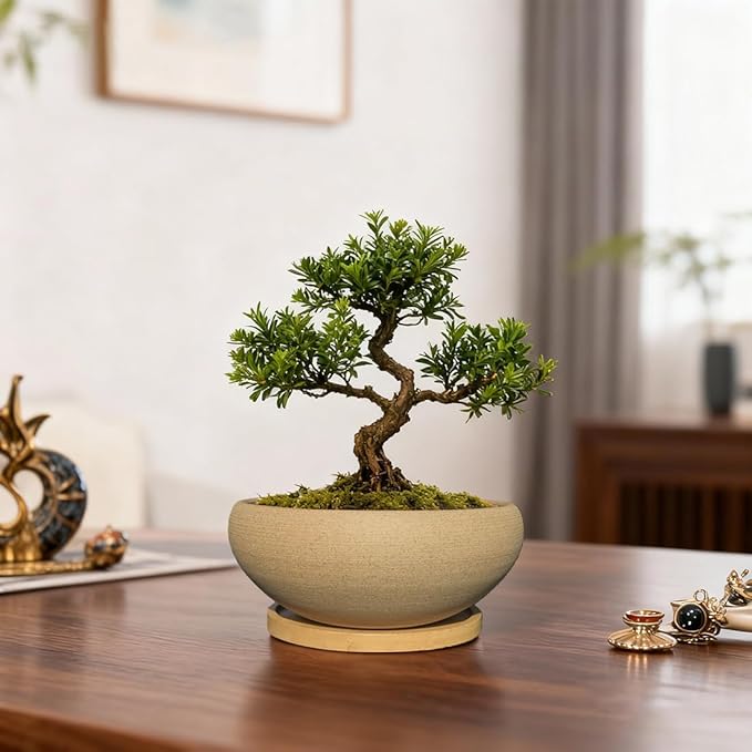 MUZHI Round Unglazed Ceramic Bonsai Pot with Bamboo Tray, Large Rough Pottery Succulent Planter with Drainage Hole 6.1 inch