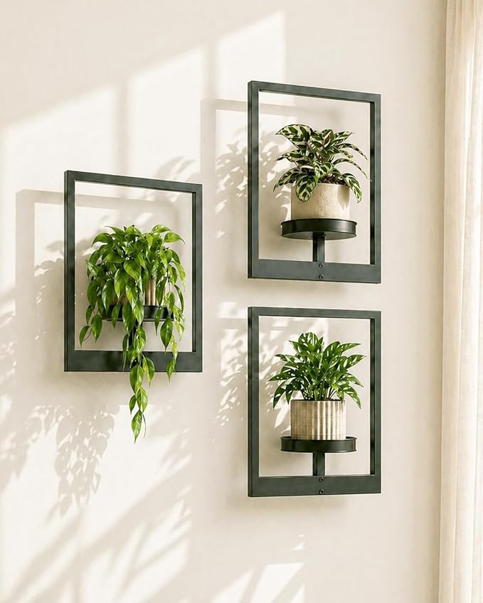 Bamworld Hanging Planters for Indoor Plants Wall Decor Living Room Plant Stand Indoor Wall Planters Plant Hanger Window Plant Shelves 3 Pack for Outdoor Entryway
