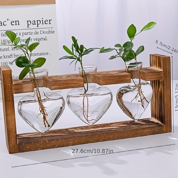Wooden Base Glass Vase - Plant Holder & Propagation Station for Hydroponic Plants, Desktop Terrarium with Wooden Stand, Stylish Home & Office Décor, Great Gift for Plant Enthusiasts (YMFAX-3B)
