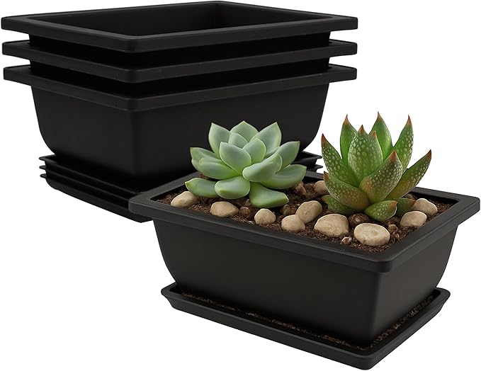 C CRYSTAL LEMON Bonsai Training Pots with Drip Trays, 3-Pack, Compact Plastic Planters with Drainage Holes & Mesh Screen, for Bonsai, Succulents & Cactus (Small)