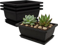 C CRYSTAL LEMON Bonsai Training Pots with Drip Trays, 3-Pack, Compact Plastic Planters with Drainage Holes & Mesh Screen, for Bonsai, Succulents & Cactus (Small)