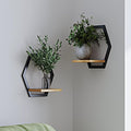2 Pack Solid Wood & Heavy Duty Metal Wall Plant Stands,9 inch Natural Wood Shelf, Boho Arch Hanging Planter for Indoor 25 LB Load for Plants Black