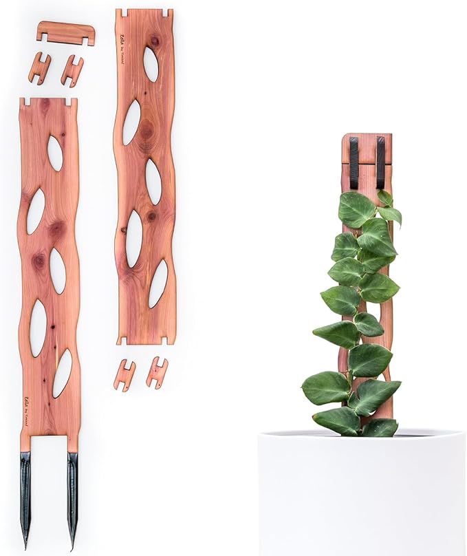 Treleaf Zella Regular Starter Kit – Wooden Extendable Plant Trellis for Indoor Climbing Houseplants – Modular Plant Support with 2 Bases + 2 Extensions - Moss Pole Alternative