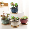 YYW Ceramic Plants Pots 3 Inch Set of 4 Flower Pots with Drainage and Bamboo Tray for Indoor/Outdoor Small House Plants,Foliage Plant (Set 3)