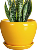 Ceramicfor 8 Inch Plant Pot - Glaze Modern Round Ceramic Planter for Indoor Outdoor Plants with Drainage Hole and Saucer for Home Patio Room Office Decor, Yellow
