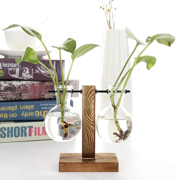 Glass Test Tube Holder in Wooden Stand, Hydroponic Vase, Indoor Desktop Plant Terrarium, Glass Flowerpot with Vintage Wood Frame Holder for Hydroponic Plant Family Garden Wedding Decoration(A3)