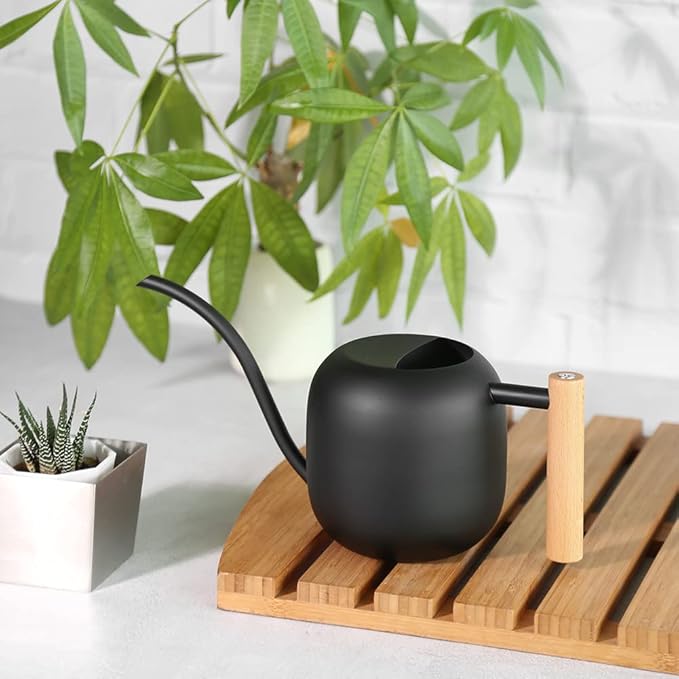 Small Watering Can for Indoor Plants, 45oz/1.2L Metal Watering Can with Long Spout, Wooden Handle for Comfortable Grip, Indoor Plant Watering Can, Decorative Mini Watering Can