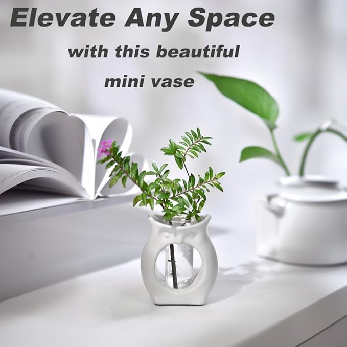 2-in-1 Ceramic Plant Propagation Station with Glass Jars, Owl Planter & Air Plant Holder, Avocado Seed Starter Vase for Indoor Plants, Home Office Decor Gift for Plant Lovers
