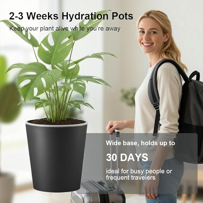 6 Pack of 6in Plastic Cachepot with 6 inch Clear nusery Pot - self Watering Indoor Planter with Drainage for Root Visibility,semi Hydro pots for repotting Monstera,Orchids,Aroid,Black