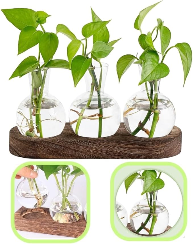 KUPOO Plant Propagation Station - Wooden Stand with Bulb Glass Vases, Ideal Planter Gift for Plant Lovers, Home & Office Decor
