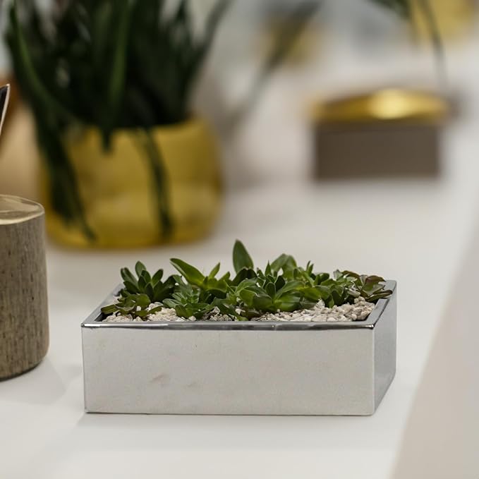 WGVI Long Rectangle Ceramic Planter Vase in Silver 12" x 4" x 4"H, Block Rectangular Terrarium Box Pot, Flower Arrangement, Table top Centerpiece, Home Decor Organization Storage Container, 6 Pcs.