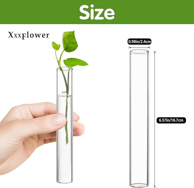 XXXFLOWER Glass Propagation Stations Accessories Glass Test Tubes Tiers Planters Wall Terrarium for Home Office Plant Hanger Flower Vases Wall Decor Hydroponic Cuttings Clear-4 Tube Vases