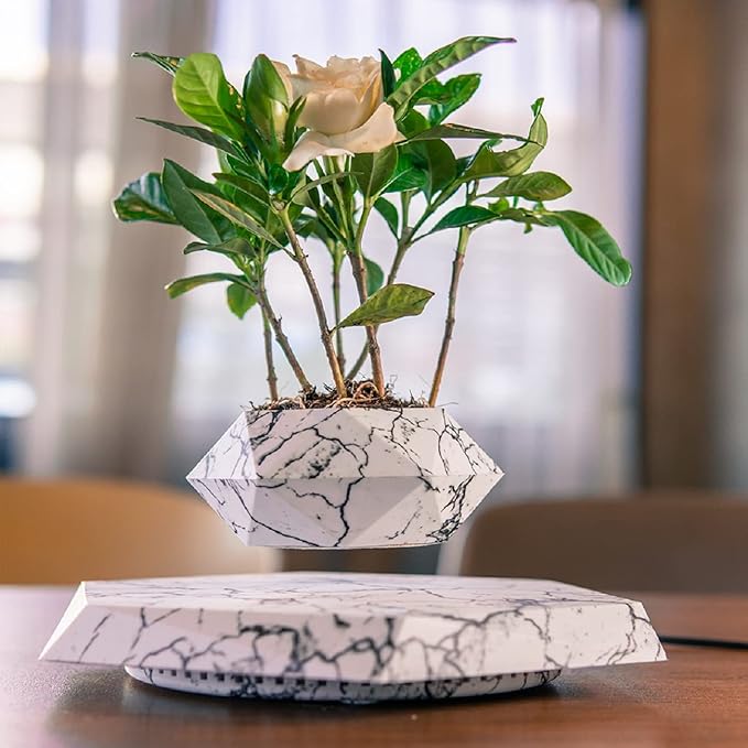 Marble Nursery Pot - Floating Planter for Succulents, Indoor Decor, 360° Sunlight Exposure (9.45 x 9.85 x 7.09 inches)