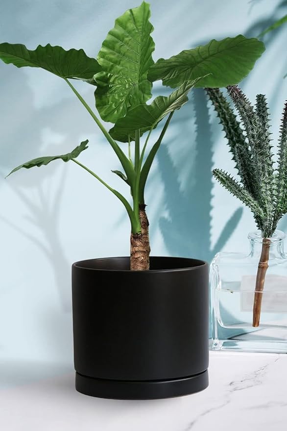 Yukfona Ceramic Plant Saucer Pot Tray 10 Inch, Planter Saucers 4 5 6 7 8 9 10 11 12 13 Inch for Indoors Outdoor, Durable Sturdy Flower Drainage drip Water Tray for Glazed Pots Base (10.7 Inch-Black)