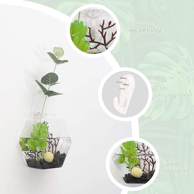 4 Pack Wall Hanging Plant Terrariums, Wall Mounted Hexagon Shape Glass Planter Flower Vase, Geometric Hydroponics Plant Propagator for Home Office Living Room Decor
