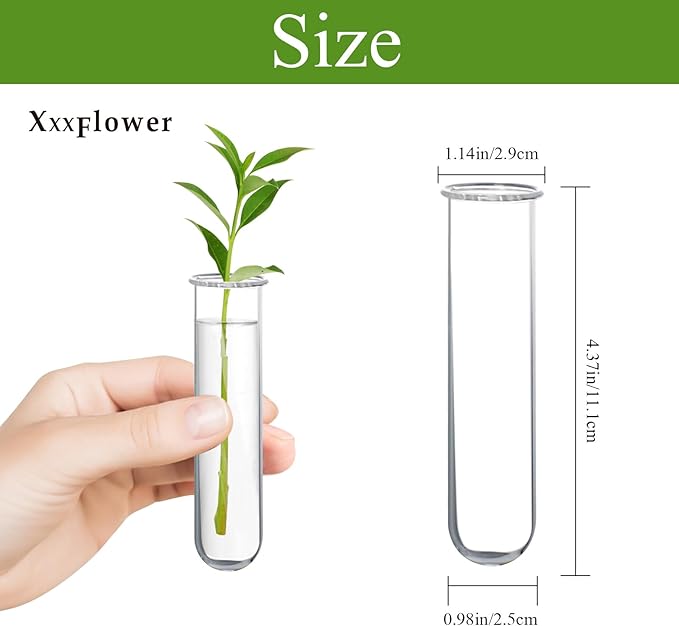 XXXFLOWER Glass Propagation Stations Accessories Glass Test Tubes Tiers Planters Wall Terrarium for Home Office Plant Hanger Flower Vases Wall Decor Hydroponic Cuttings (4 Tube Vases) Clear