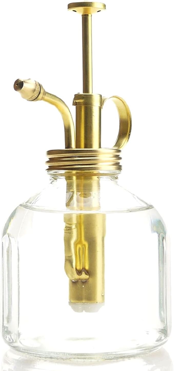 Plant Mister- Clear Color Glass Bottle & Brass Sprayer (Matt Gold)