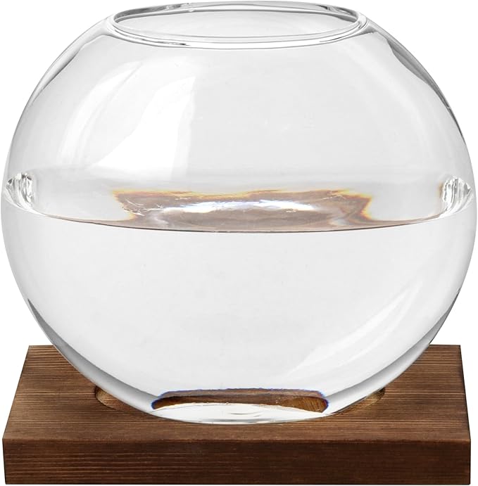 HAKZEON 4 Pack Desktop Round Glass Planter Hydroponics Vase, Glass Planter Terrarium Flower Vase with Wooden Stand, Propagated Plant Jars for Plants, Flower, Home Office Desktop Decor