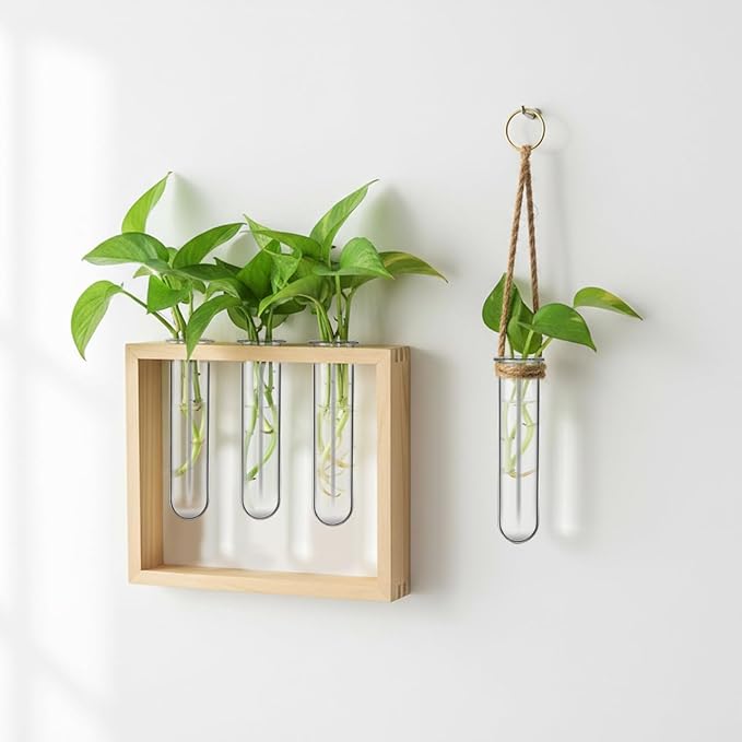 Kisangel 5Pcs Plant Propagation Tubes, Glass Test Tubes Plant Propagation Station for Clear Hydroponic Flower Vase