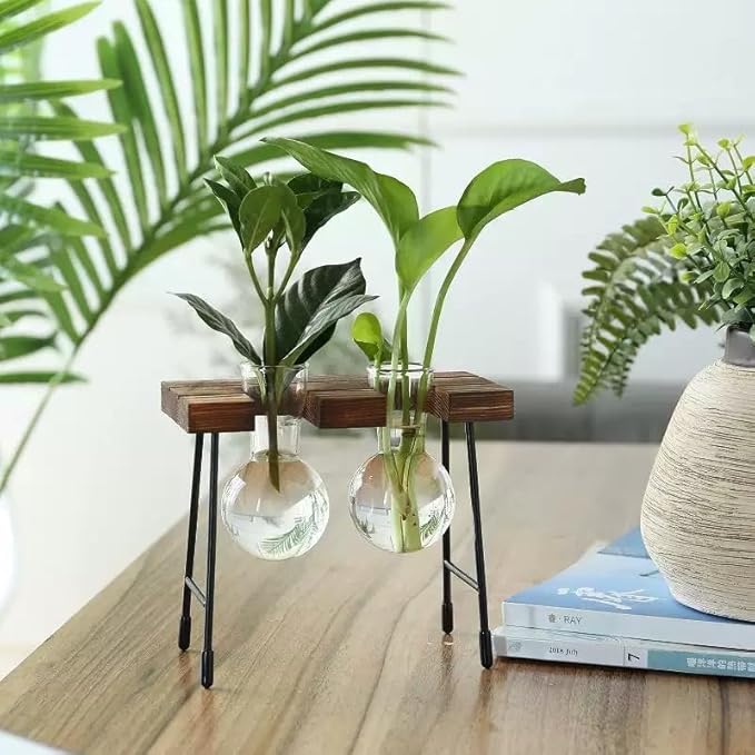 Hydroponic Plant Stand with Glass Vase, Modern Industrial Wooden Base Metal Frame, Visible Root Growth, Nordic Minimalist Desktop Planter for Home Office, Great Gift for Plant Lovers