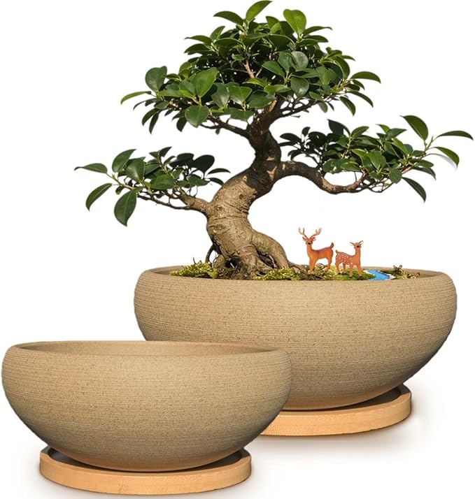MUZHI 2 Pack Round Unglazed Ceramic Bonsai Pot with Bamboo Tray 8"+6.5", Large Rough Pottery Succulent Planter with Drainage Hole