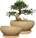 MUZHI 2 Pack Round Unglazed Ceramic Bonsai Pot with Bamboo Tray 8"+6.5", Large Rough Pottery Succulent Planter with Drainage Hole