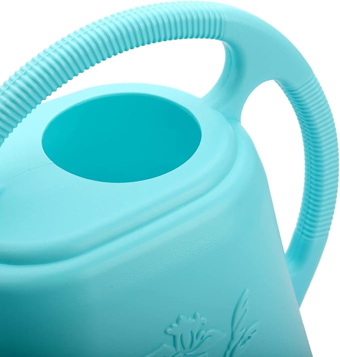 Fasmov 1-Gallon Plastic Watering Can with Comfortable Handle, Garden Watering Cans Long Spout for Indoor Outdoor Watering Plants, Bright Blue