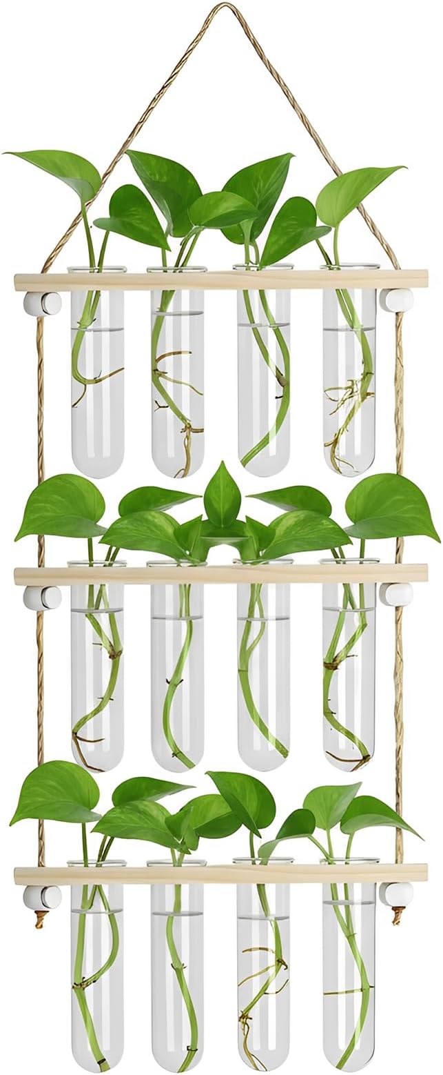 12 Tubes Hanging Plant Propagation Station, 4-Tier Wall Mounted Wooden Plant Stand with 3cm Large Shatterproof Plastic Tubes for Pothos Plant Cuttings, Indoor Window Decor & Gifts for Plant Lovers