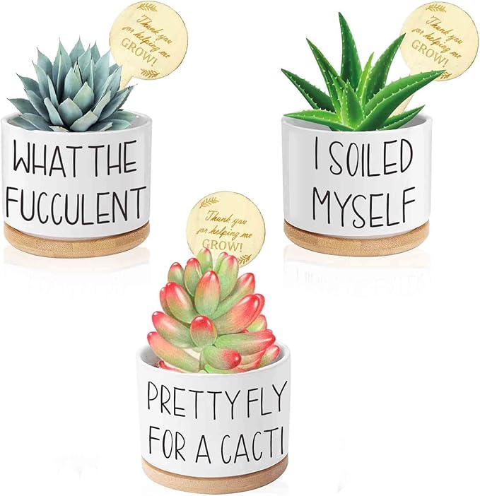 Succulent Pots, 3.15 inch Ceramic Funny Succulent Planters with Plant Labels, Small Plant Pots with Drainage Holes and Saucers, Birthday Gifts for Women, Pack of 3 - Plants Not Included