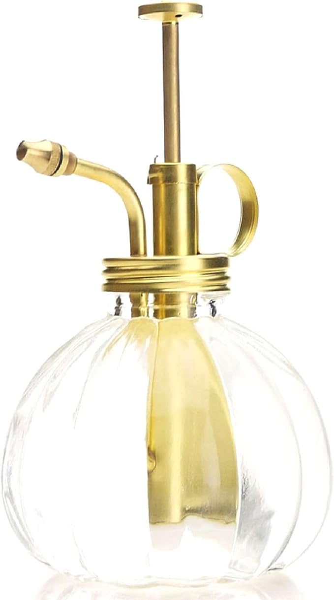 Plant Mister- Clear Color Glass Bottle & Brass Sprayer (Matt Gold)