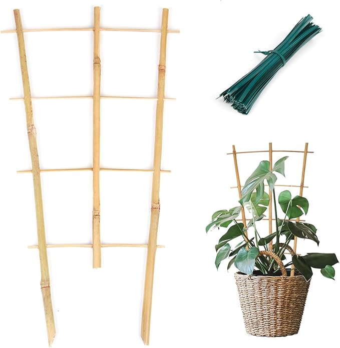 Cambaverd Bamboo Trellis 10 Pack, 16in Fan-Shaped Plant Trellis Indoor for Climbing Plants