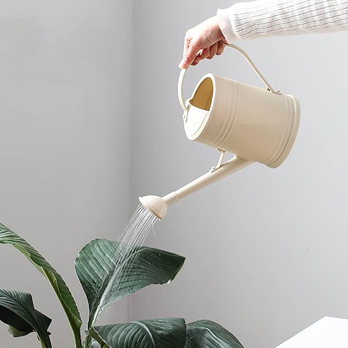 0.5 Gallon Watering Can Outdoor,Plastic Long Spout Watering Can with Removable Nozzle and Handles,Mini Watering Can for Office Indoor Plants Garden Flower Succulent Bonsai House