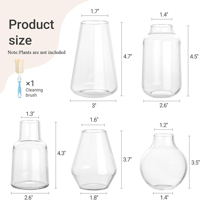 Mkono Propagation Vases for Plants, Set of 5 Small Glass Jar Planters for Hydroponic Cutting Flowers, Plant Station Bud Vases for Centerpieces Home Office Decor Gift