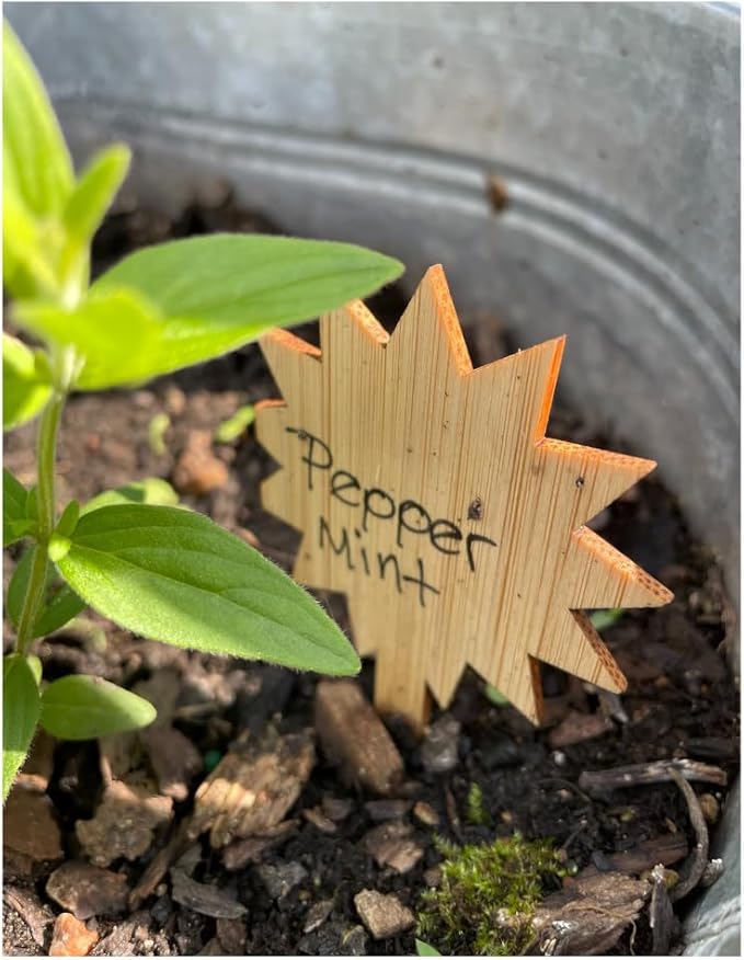 Celestial Bamboo Plant Labels 60Pcs Plant Tags Plants Outdoor Garden Markers Vegetable Seedling Label Plant Name Sign Indoor Waterproof with Bonus a Pen（4 * 2.4 Inch） -20 Sun -20 Star -20 Moon