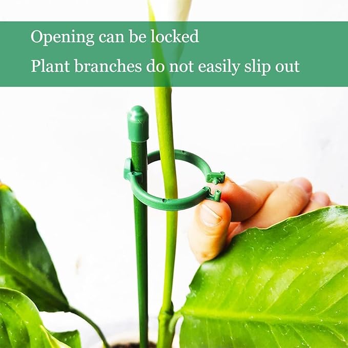 Belit 8 Pack Small Plant Support Plant Stakes, Adjustable Garden Single Stem Support Stake, Planter Support Ring for Orchid, Rose, Peony, Peppers and More, DIY 24 inch
