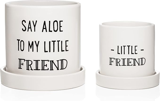 Aloe Pot and Succulent Planter - Set of Two - Funny Housewarming Gift - Plants Not Included