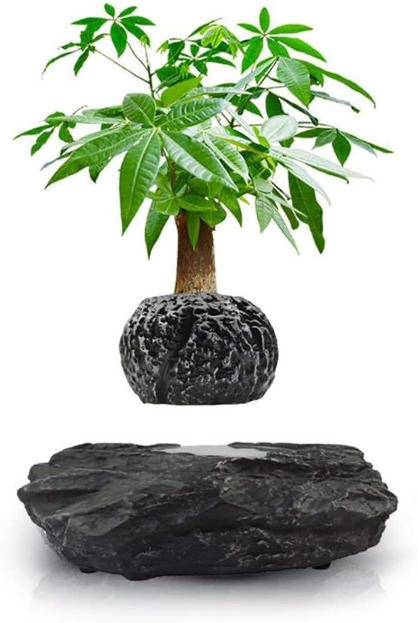 Floating Bonsai Pot - Magnetic Suspension Levitating Air Flower Pots - Creative Design Levitation Bonsai - Home Office Decorations - Fun Gift