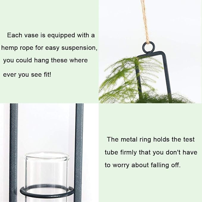 Sziqiqi Hanging Clear Glass Propagation Tube Vase for Cuttings, Hydroponic Plant Propagation Home Balcony Floral Container Wall Decoration Black 2ps (L+L)