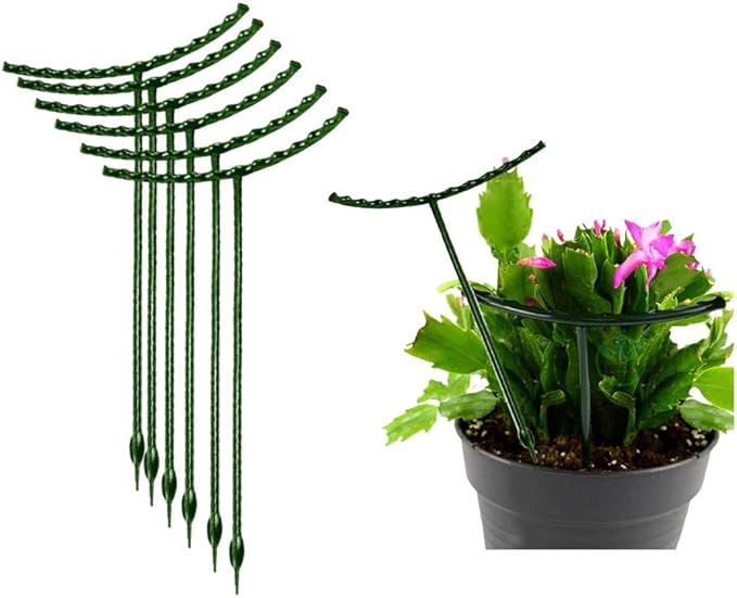Belit 8 Pack Small Plant Support Plant Stakes, Garden Flowers Green Plant Support Ring, Planter Support Ring for Schlumbergera, Clivia, Vegetables, 5.5" Wide x 9.8" High