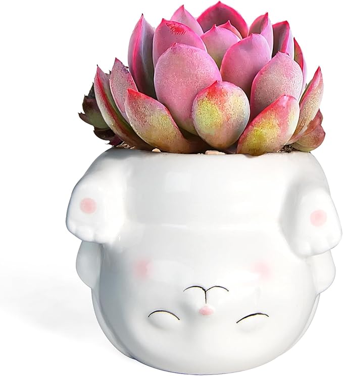 Cute Animal Ceramics Planter Succulent Pot with Drainage, 4.4 Inch Plant Pot for Indoor Mini Plants Flower Cactus, Home and Garden Decor Fun Rabbit Gifts