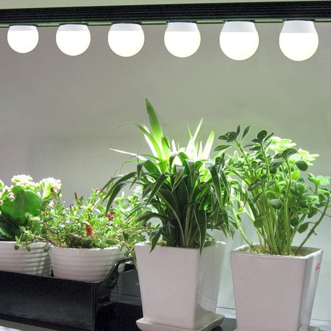 12 Pack Full Spectrum Grow Light Bulbs,A19 Grow Lights for Indoor Plants,Dimmable E26 9W Grow Bulb Replace up to 100W,Plant Lights for Indoor Growing,Flowers,Greenhouse,Indore