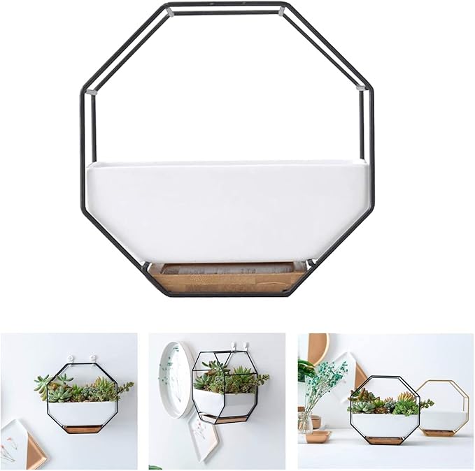 Modern Wall Planter Metal Wire Octagon Design Wall-Mounted Shelves with Ceramic Flower Pot Geometric Hexagon Wall Decor (Color : Black)