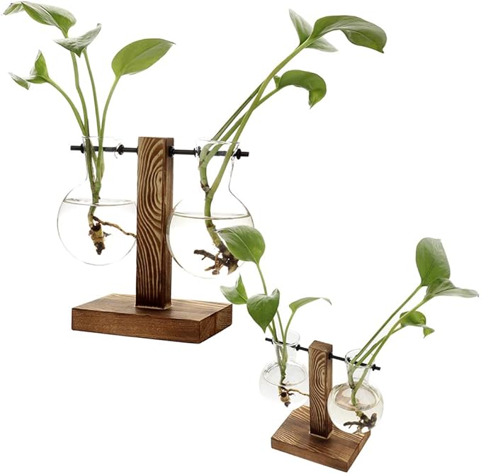 Glass Test Tube Holder in Wooden Stand, Hydroponic Vase, Indoor Desktop Plant Terrarium, Glass Flowerpot with Vintage Wood Frame Holder for Hydroponic Plant Family Garden Wedding Decoration(A3)