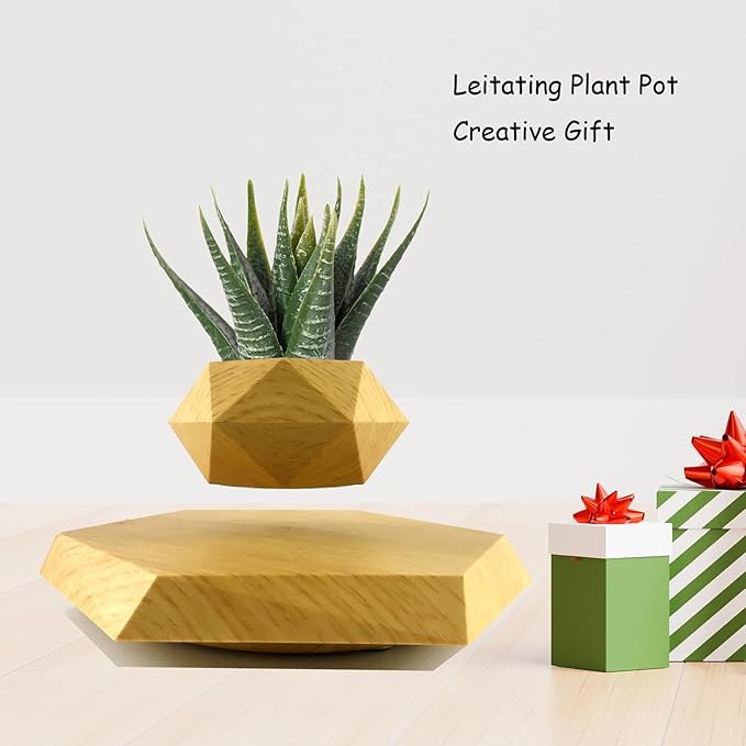 Magnetic Levitating Plant Pot Hexagon Floating Flower Pot Small Bonsai Planter for Succulent Nordic Style Home and Office Decoration
