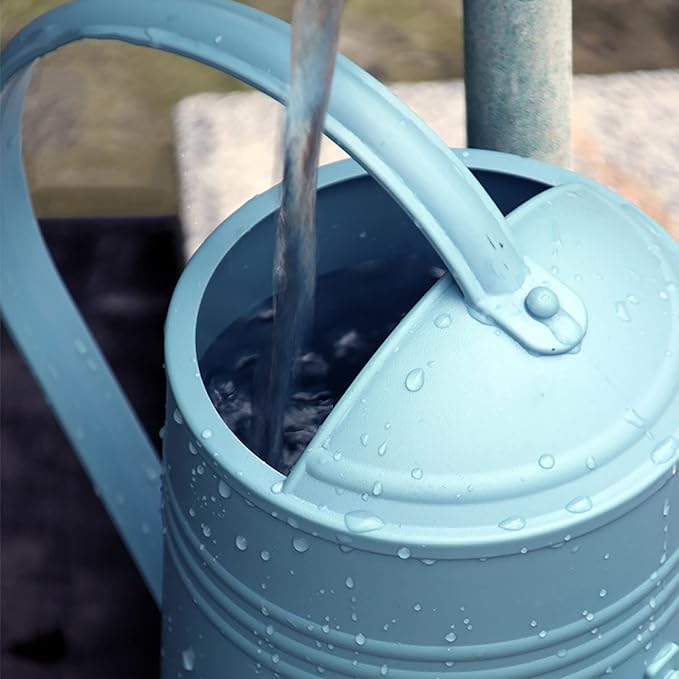 Watering Can for Indoor Plants, Garden Watering Cans for House Flower Long Spout, Watering Can for Indoor and Outdoor, Home and Garden Plants (Blue)