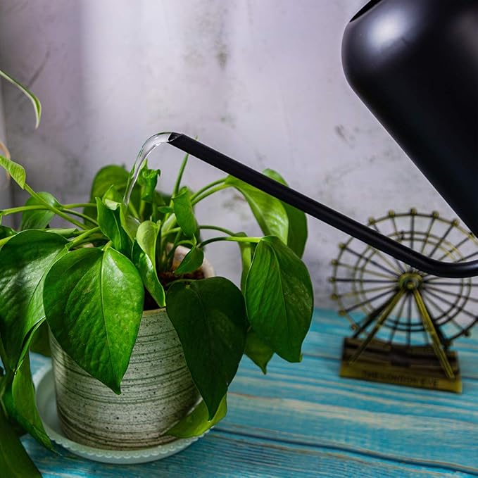 Long Spout Watering Can Metal 40oz/1.3L,Stainless Steel Watering Pot for Outdoor and Indoor House Plants, Matte Black